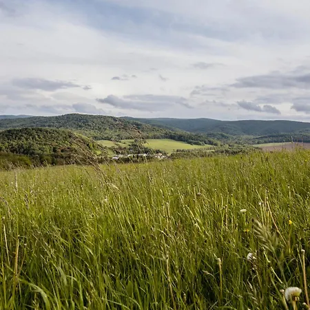 Pawlikowka Lipinki (Gorlice)