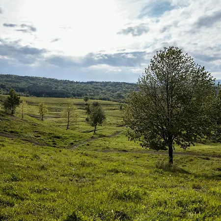 Pawlikowka Фермерский дом