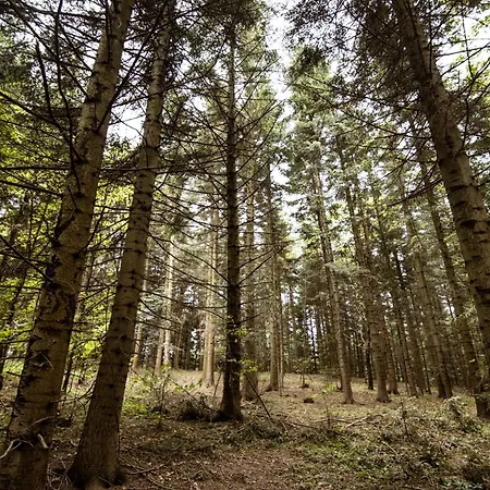 Pawlikowka * Lipinki (Gorlice)